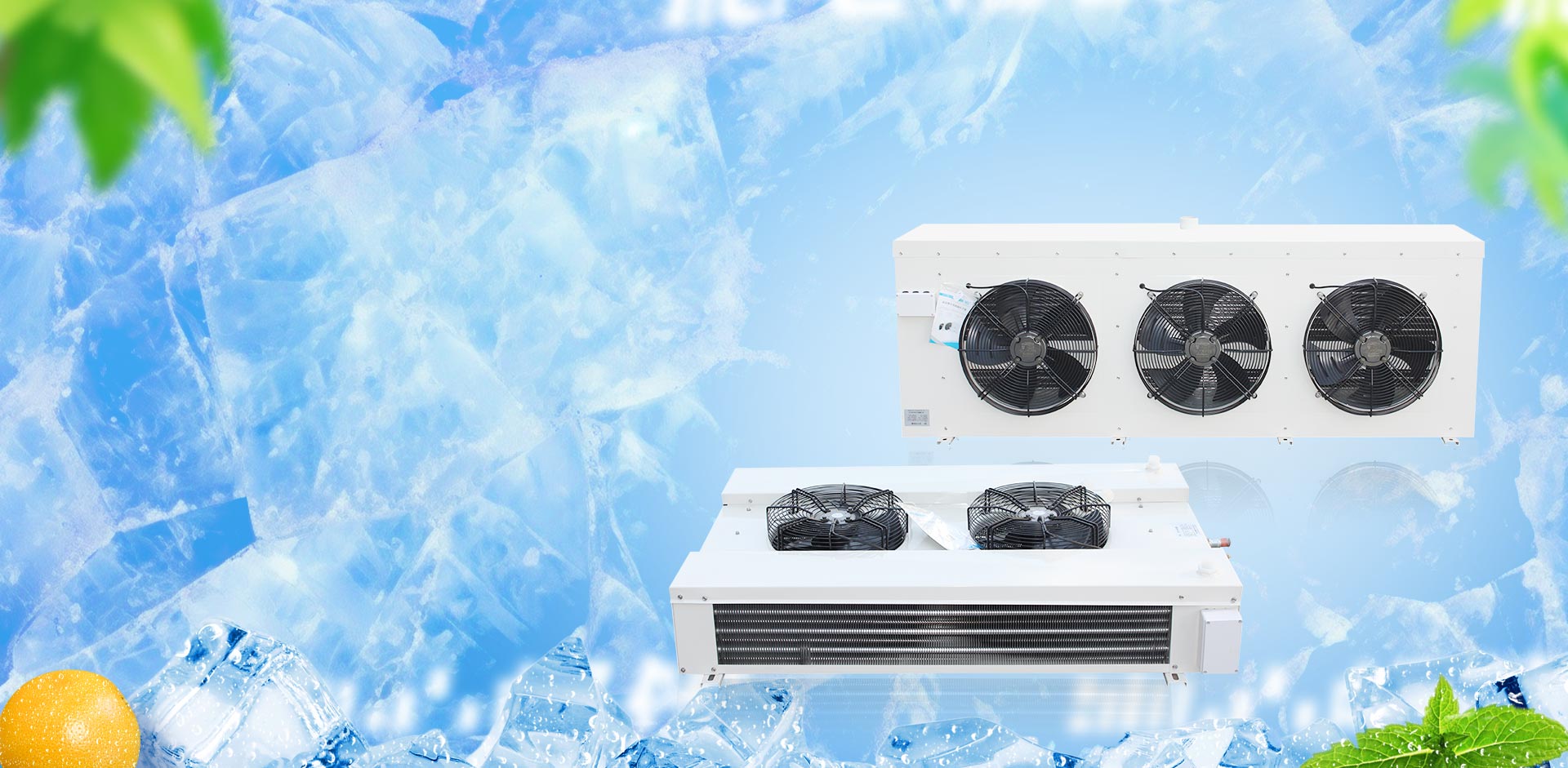 Zhejiang xinba lodowiska Co., Ltd.
